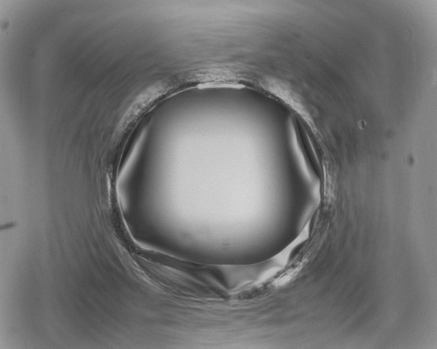 X0000078840109200611271332