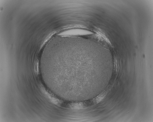 X0000078840110200611271332