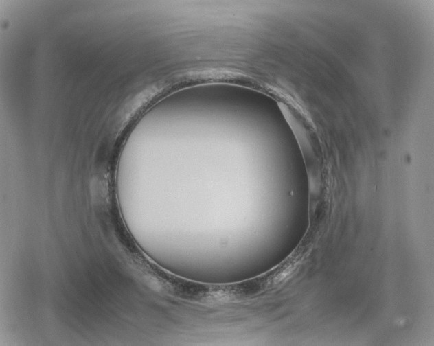 X0000078840111200611271332