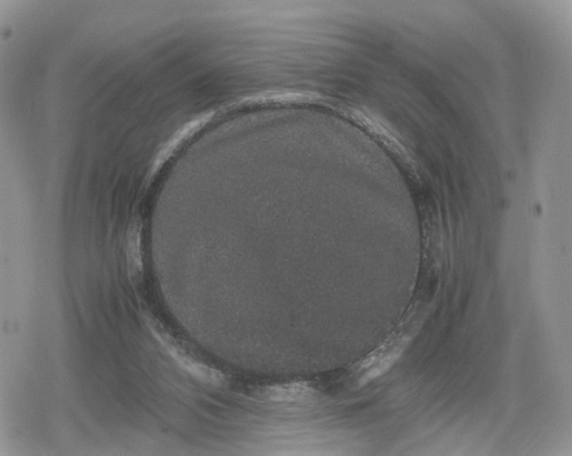 X0000078840112200611271332