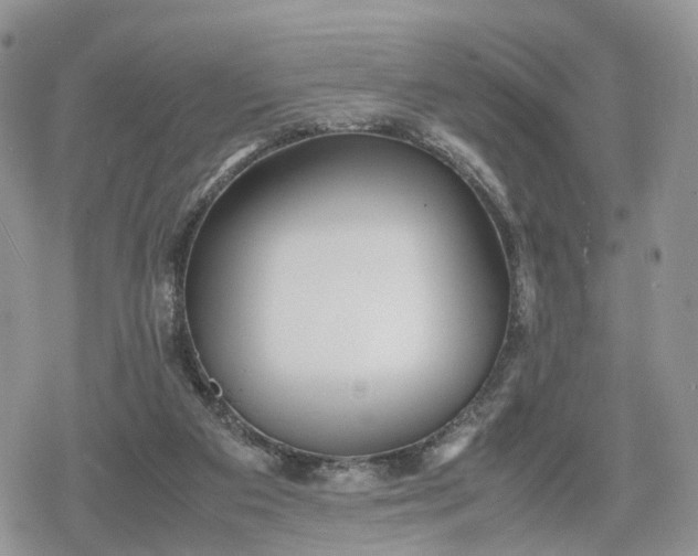 X0000078840113200611271332