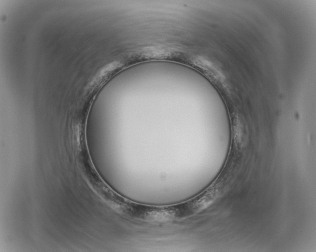 X0000078840115200611271332