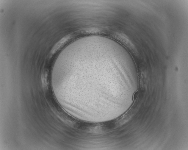 X0000078840116200611271332