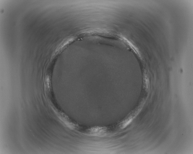 X0000078840117200611271332