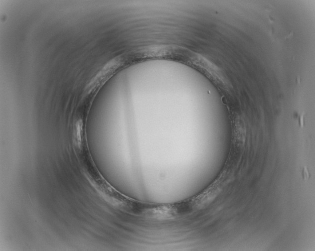 X0000078840118200611271332