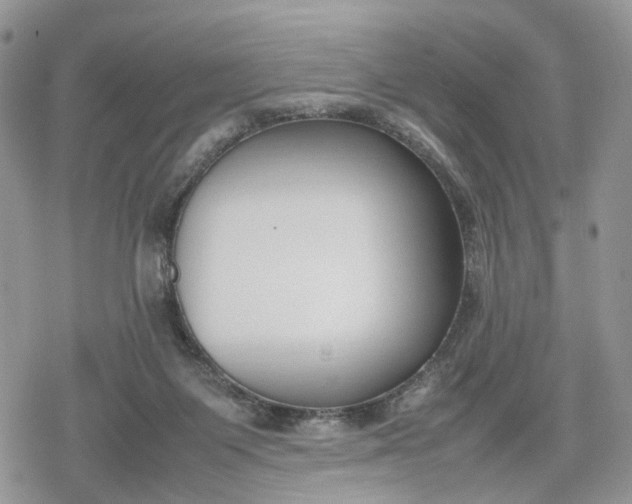 X0000078840119200611271332