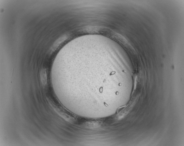 X0000078840120200611271332