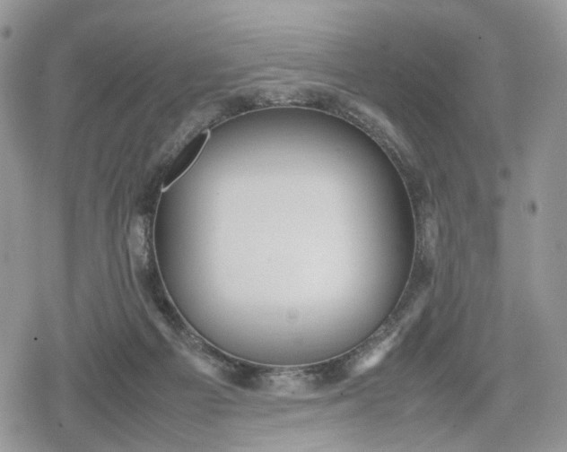 X0000078840121200611271332