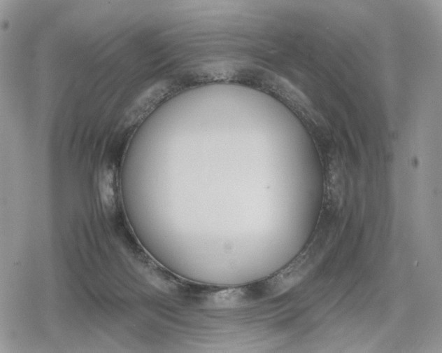 X0000078840122200611271332