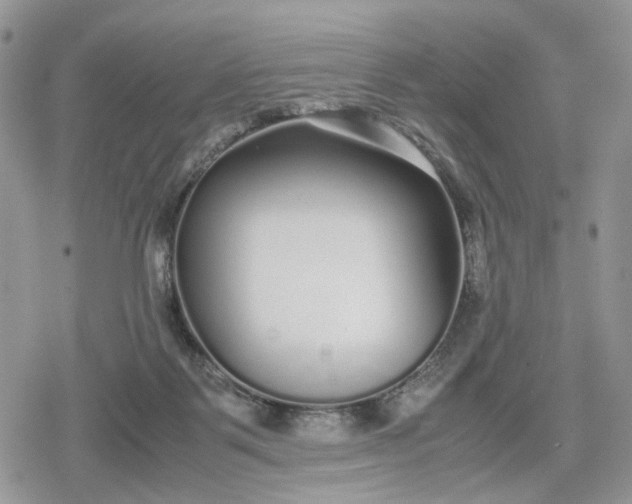 X0000078840123200611271331