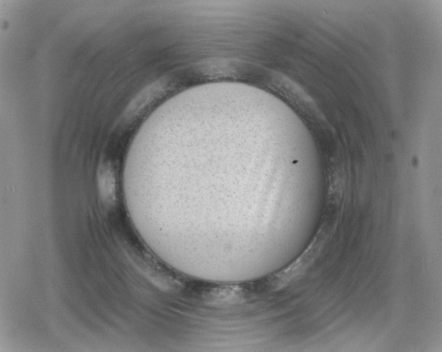 X0000078840124200611271331