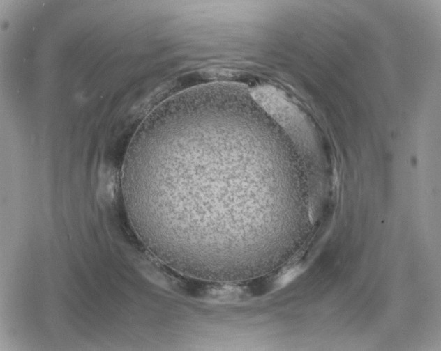 X0000078840125200611271331