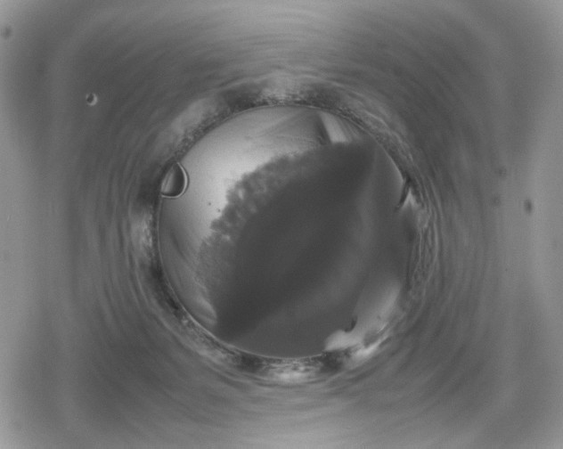 X0000078840127200611271331