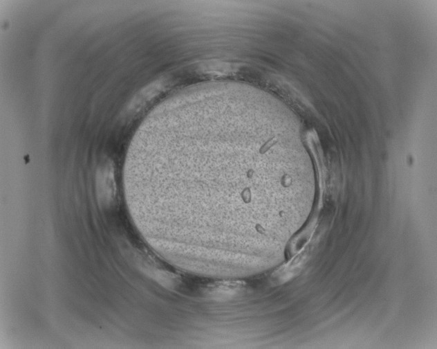 X0000078840128200611271331