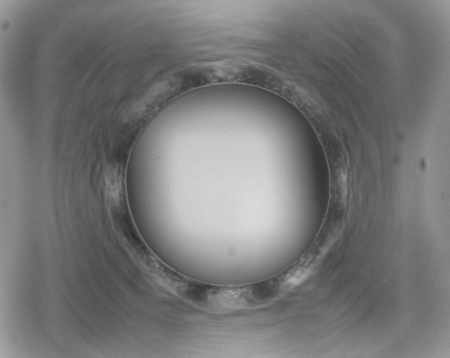 X0000078840129200611271331