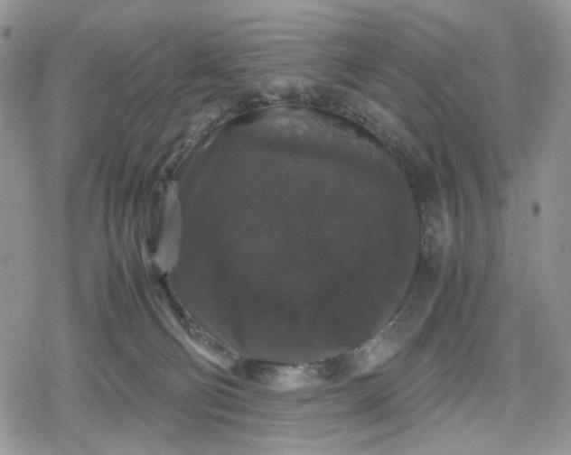 X0000078840130200611271331