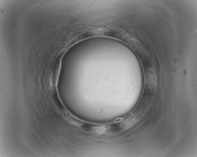 X0000078840131200611271331