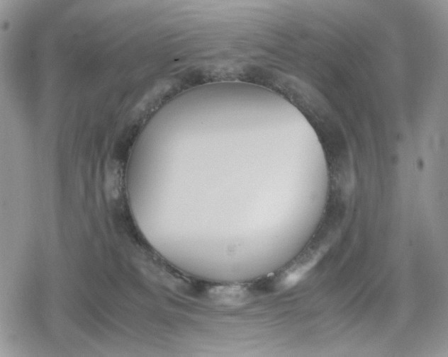 X0000078840133200611271331