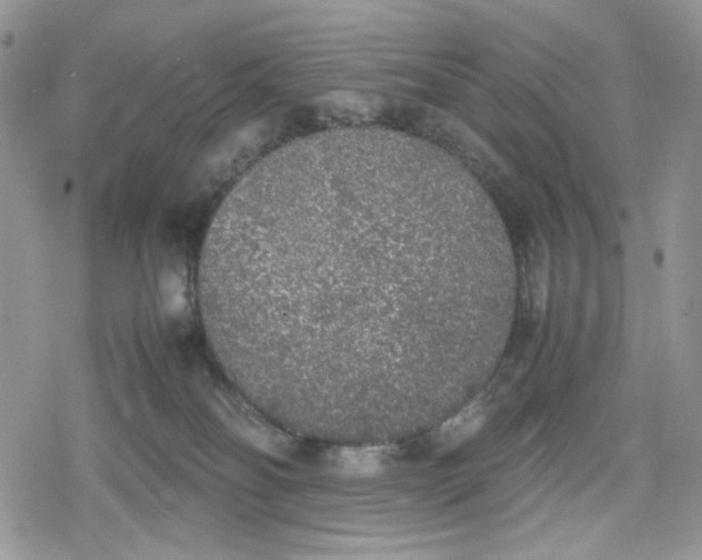 X0000078840134200611271331