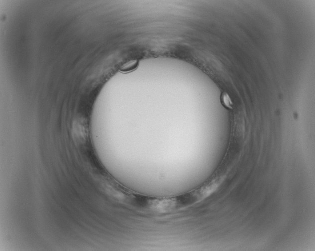 X0000078840135200611271331