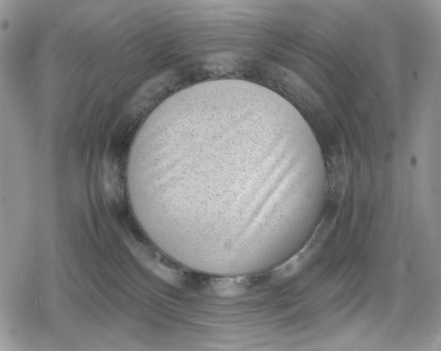 X0000078840136200611271331