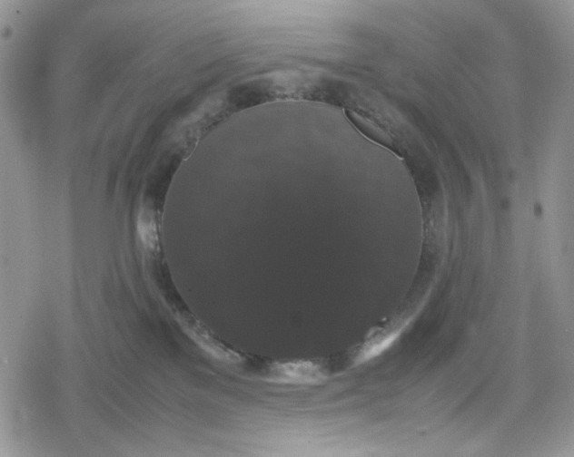 X0000078840137200611271331