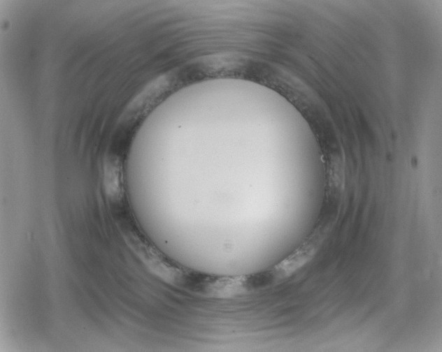 X0000078840138200611271331