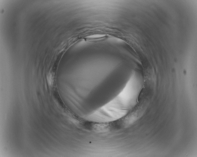 X0000078840139200611271331