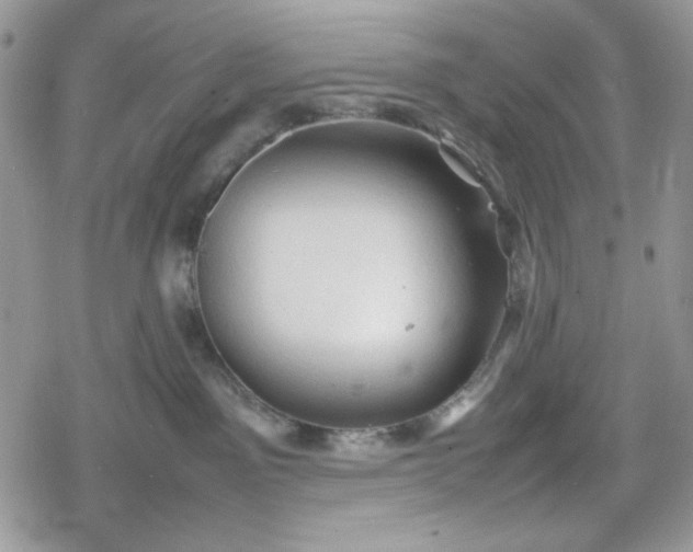 X0000078840141200611271331