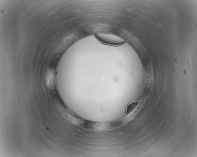 X0000078840142200611271331