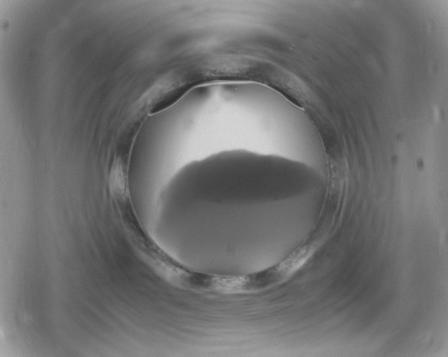 X0000078840143200611271331