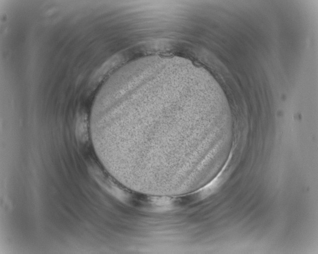 X0000078840144200611271331