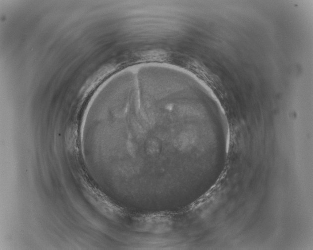 X0000078840146200611271330