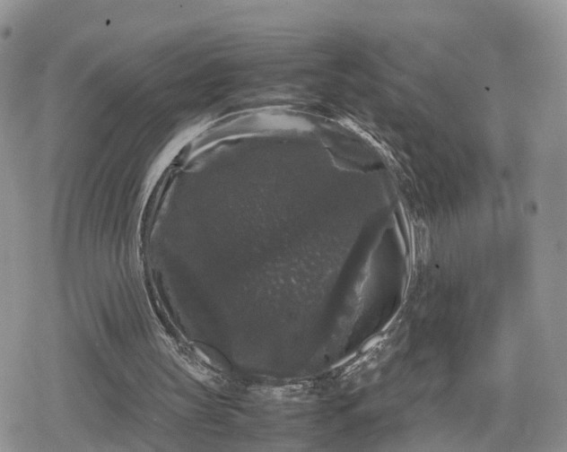 X0000078840147200611271330