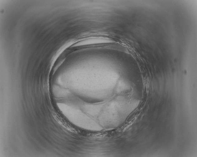 X0000078840148200611271330