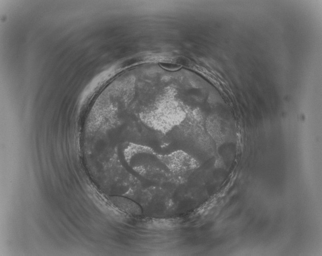 X0000078840149200611271330