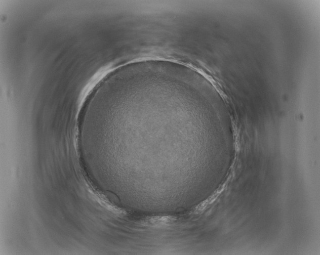 X0000078840152200611271330