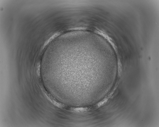 X0000078840153200611271331