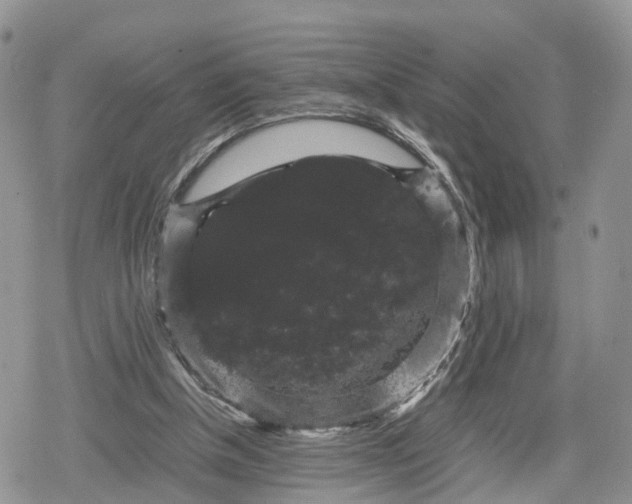 X0000078840154200611271331