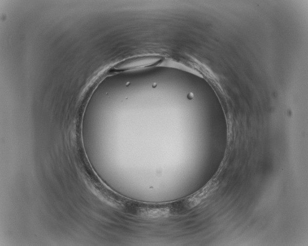 X0000078840155200611271331