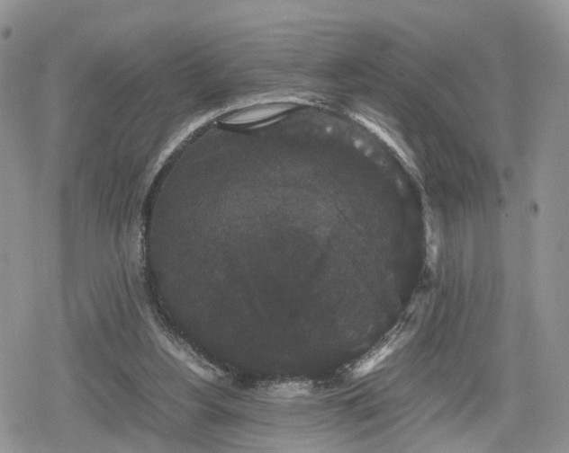 X0000078840156200611271331