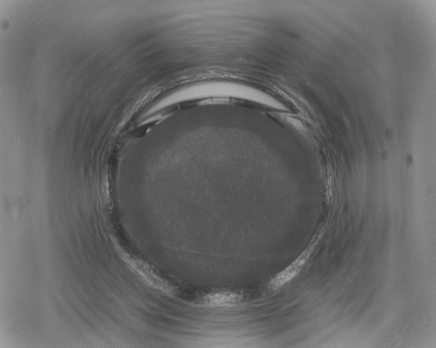 X0000078840158200611271331