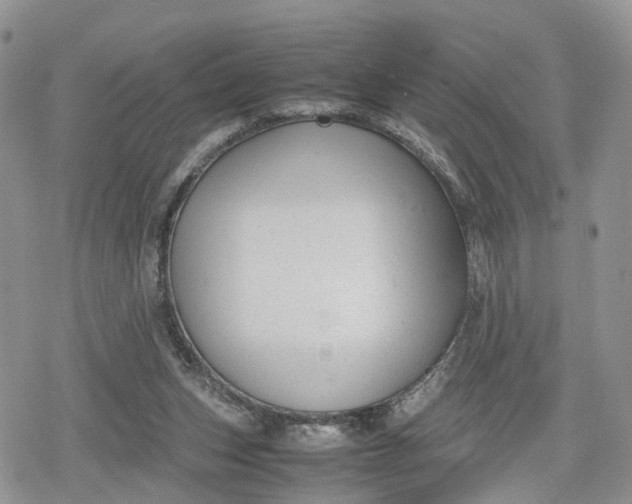 X0000078840159200611271331