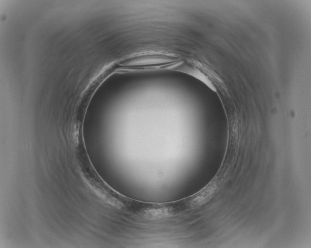 X0000078840160200611271331