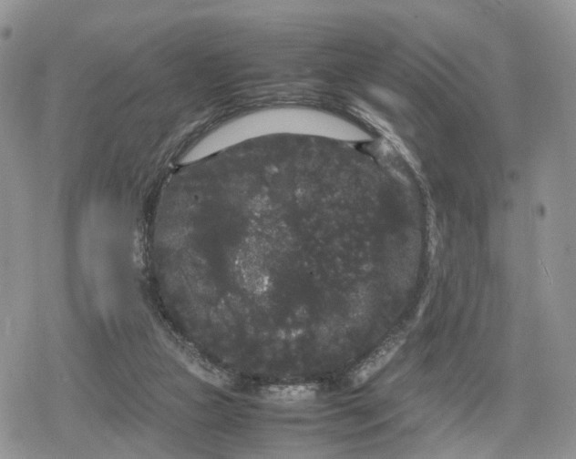 X0000078840161200611271331