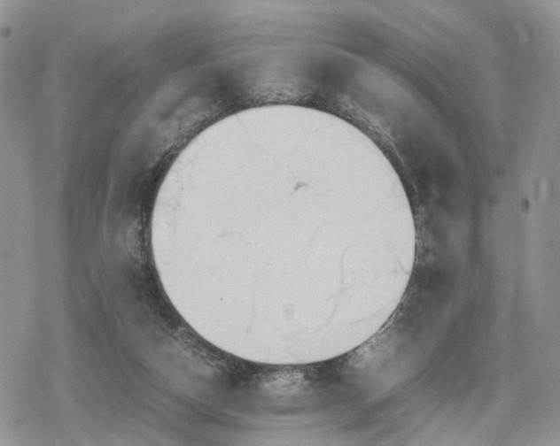 X0000078840162200611271331