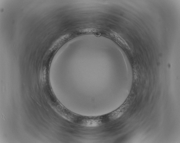 X0000078840163200611271331