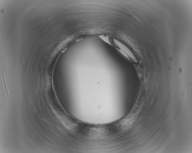 X0000078840164200611271331