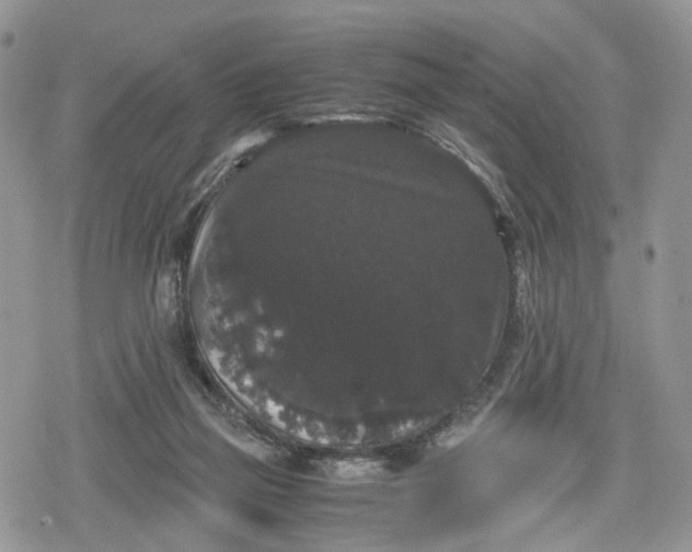 X0000078840165200611271331