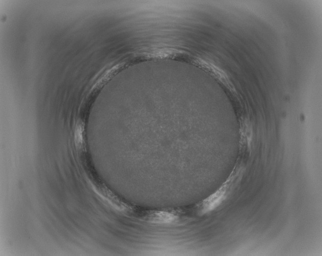 X0000078840166200611271331